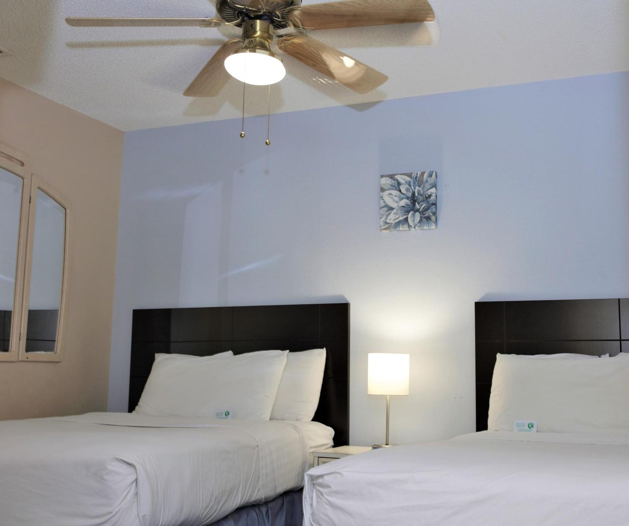 Victoria Palms Inn And Suites Donna Extérieur photo